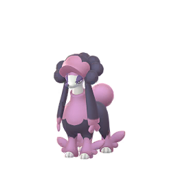 go male shiny