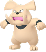 go male shiny preview