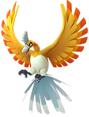 go male shiny preview