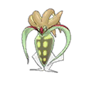 ultra sun ultra moon male shiny