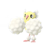 go male shiny preview