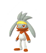 go male shiny preview