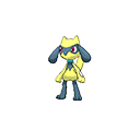 bank male shiny