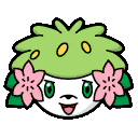 pokemon link battle male