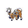 crystal male