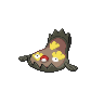 black white male shiny