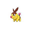 bank male shiny
