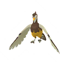 go female shiny preview