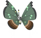 go male shiny preview