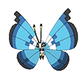 omegaruby alphasapphire male shiny