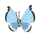 bank male shiny