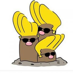 14718281 629180513929949 9063716407266508800 n