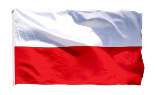 Media Pokemon PO POLSKU!??!?? GRY POKEMON PO POLSKU?(a w tle info o Lost Origin)