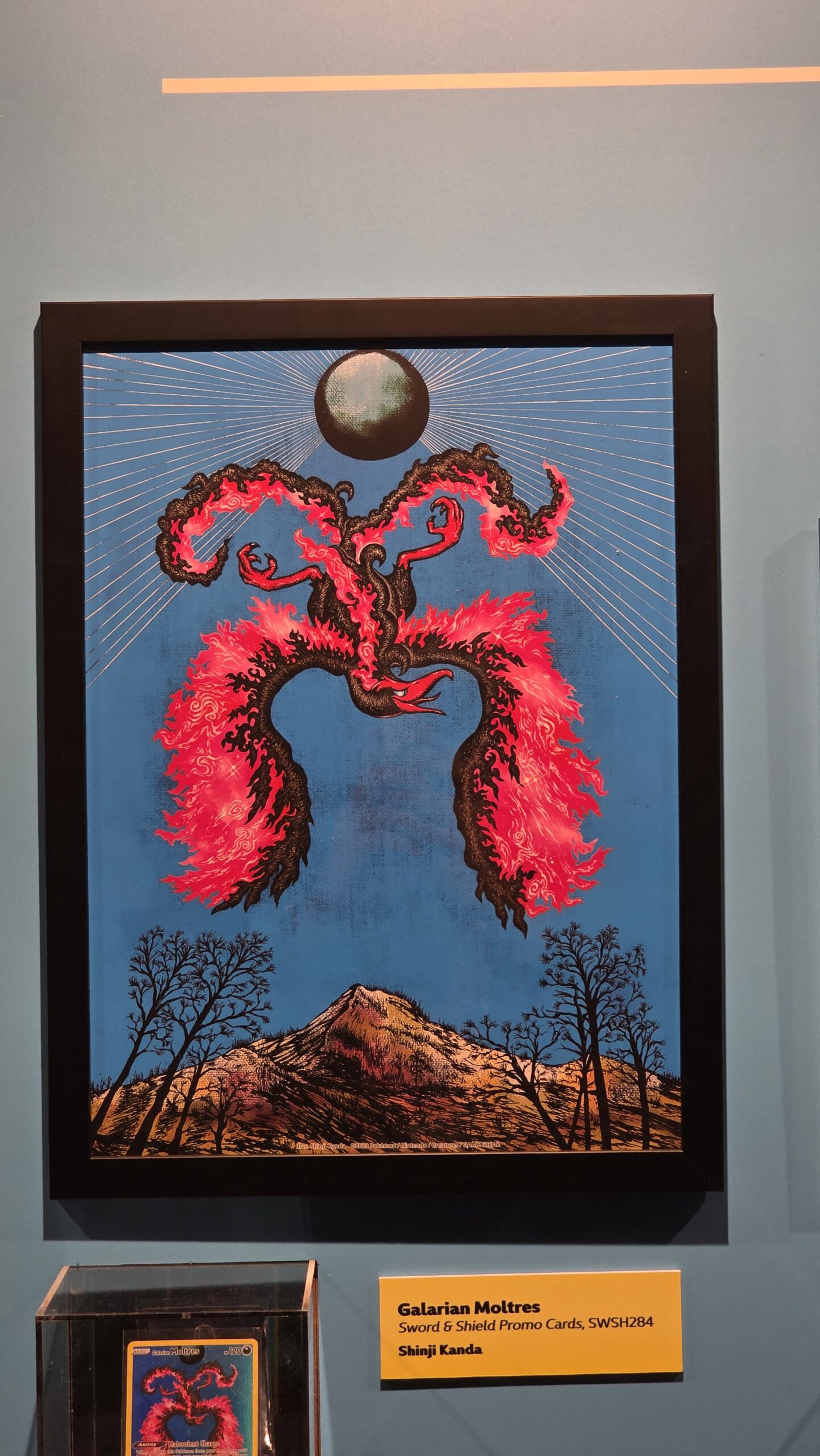 20250223 095147 scaled