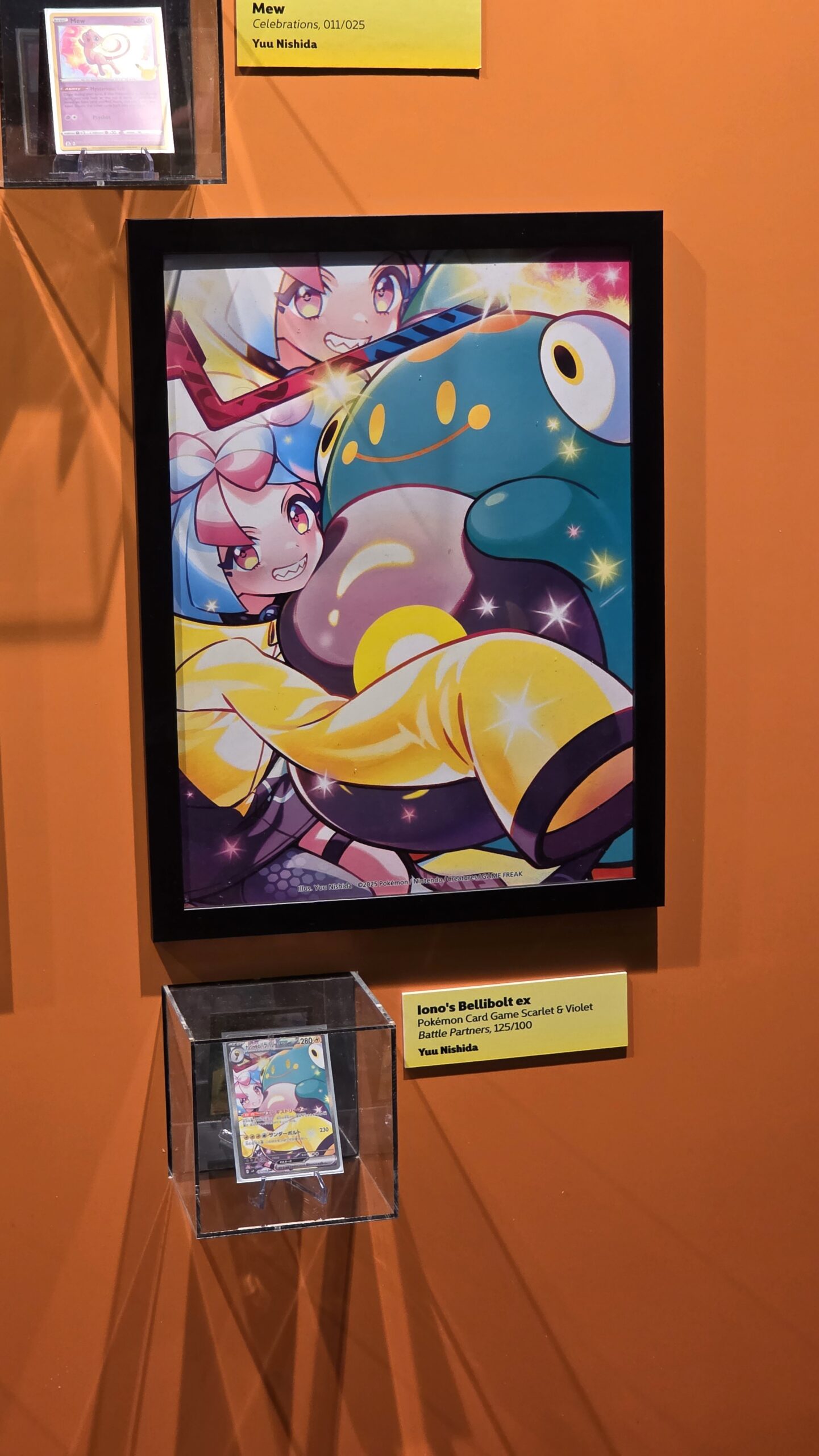 20250223 095256 scaled