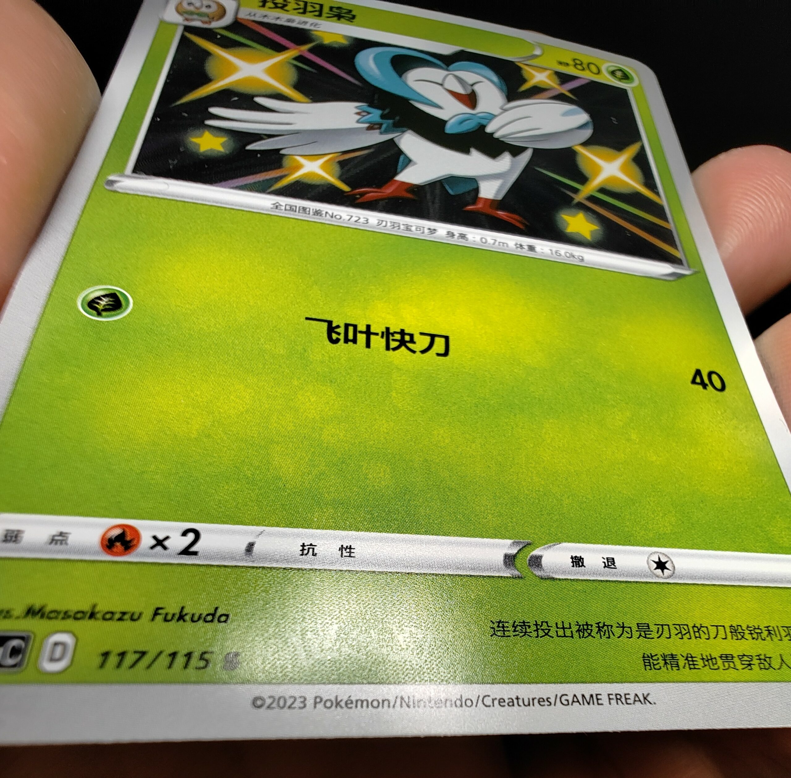 IMG 20250605 203728733 scaled