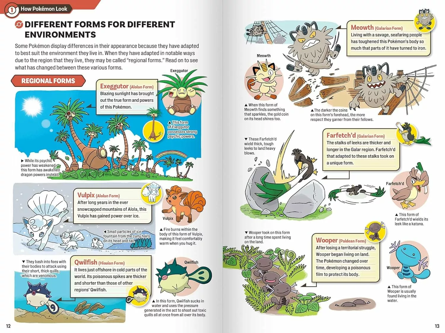 81hyrOQt5VL._SL1500_