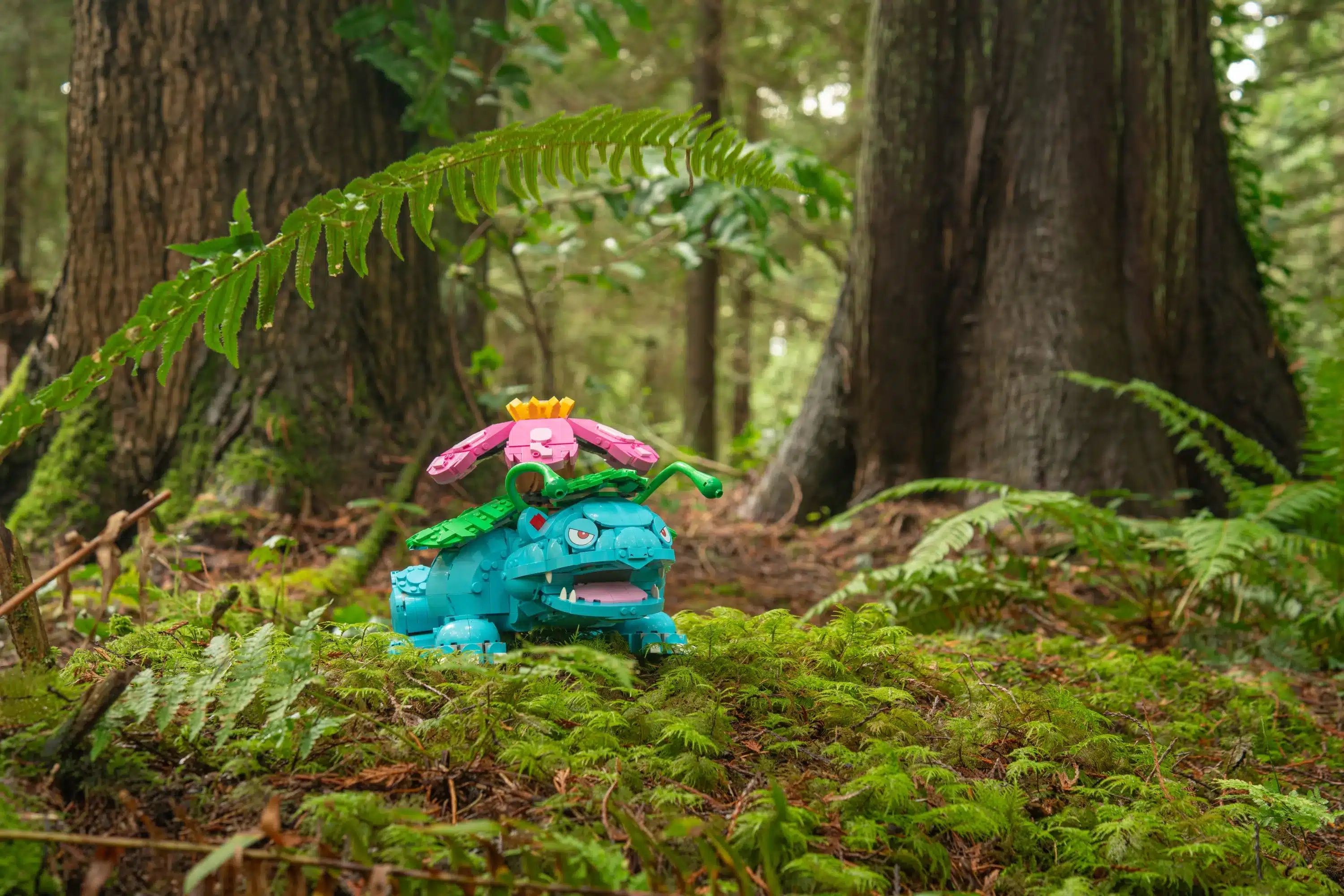 LEGO GROUP Pokémon Launch Location Pack