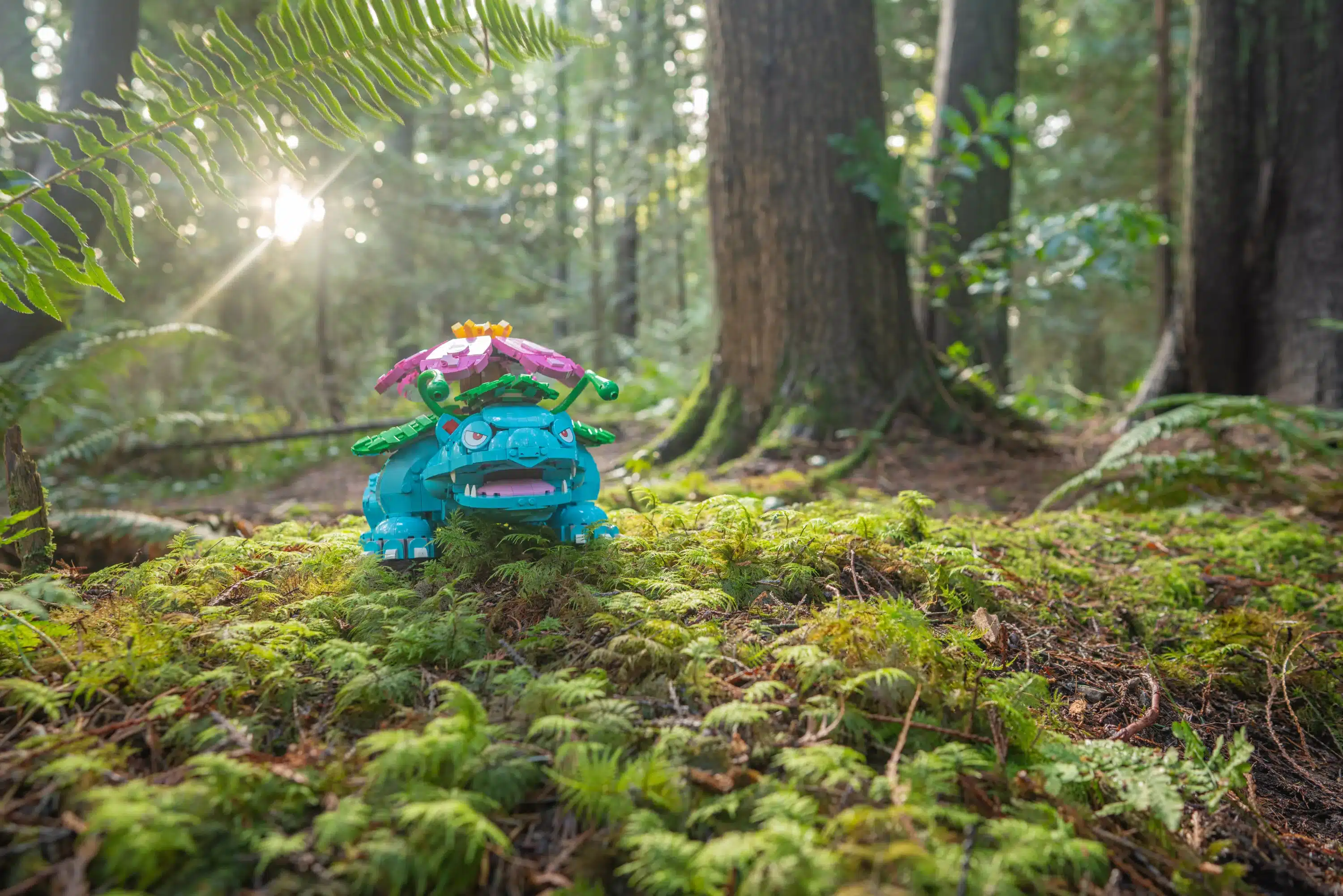 LEGO GROUP Pokémon Launch Location Pack