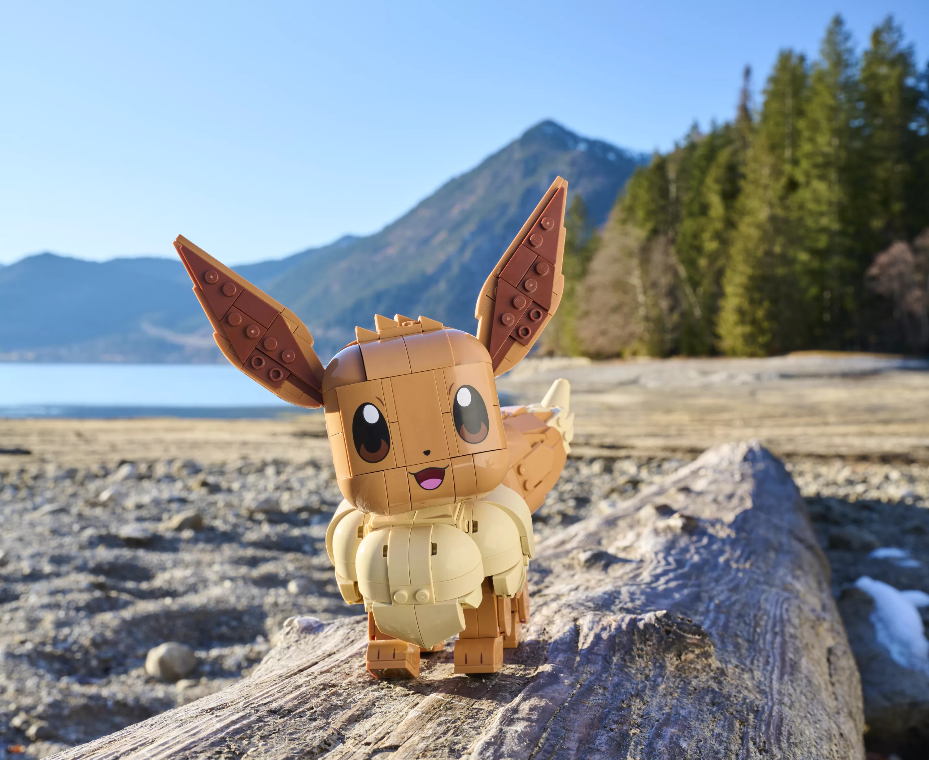 005_LEGO®_Pokemon™_Eevee
