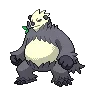 Pangoro
