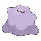 Ditto