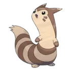 Furret
