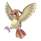 Pidgeotto
