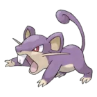 Rattata
