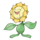 Sunflora