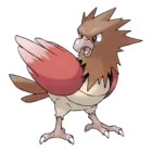 Spearow