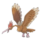 Fearow