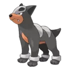 Houndour