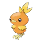 Torchic