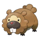 Bidoof