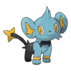 Shinx
