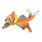 Buizel