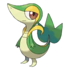 Snivy