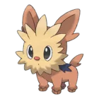 Lillipup