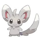 Minccino