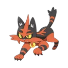 Torracat