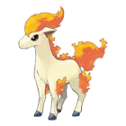 Ponyta