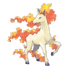 Rapidash
