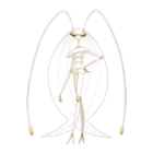 Pheromosa