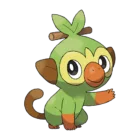 Grookey