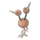 Doduo