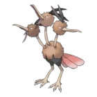 Dodrio