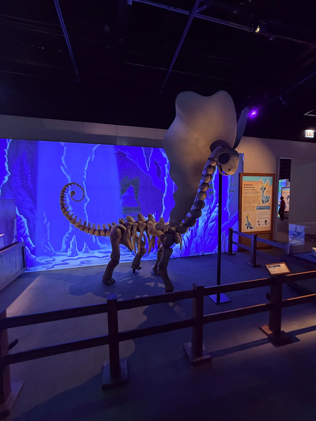 pokemon fossil museum x field museum chicago preview 2026 v0 3sl2n97e2b2h1