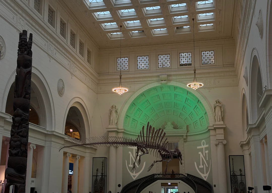 pokemon fossil museum x field museum chicago preview 2026 v0 rhp4eb7e2b2h1