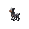Houndour